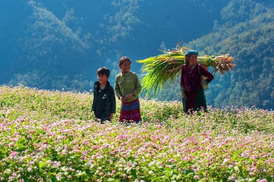 Trekking Tour Bac Ha Vietnam 6 Days
